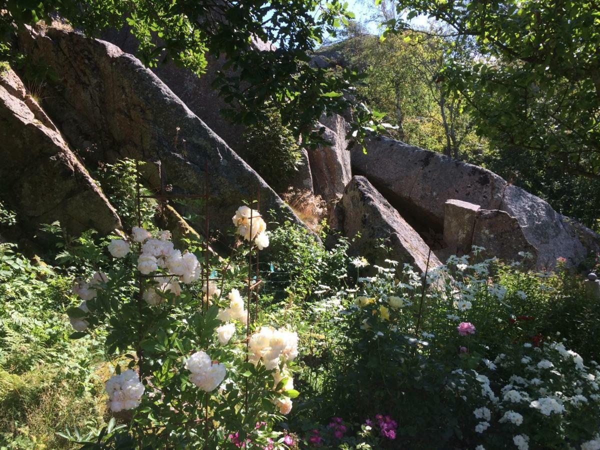 Stuga I Naturskoent Omrade Pa Vaestra Tjoern Saby 外观 照片