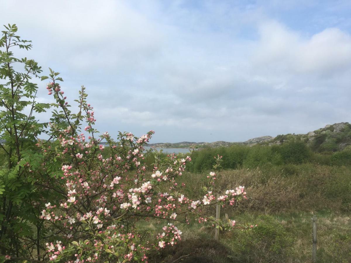Stuga I Naturskoent Omrade Pa Vaestra Tjoern Saby 外观 照片