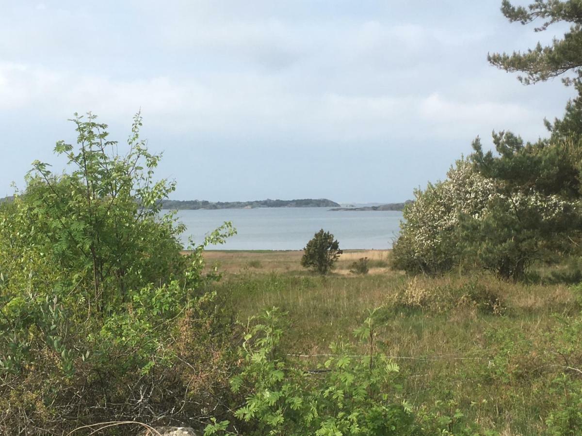 Stuga I Naturskoent Omrade Pa Vaestra Tjoern Saby 外观 照片